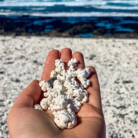 Apartmán Ancla Pool On Roof Top