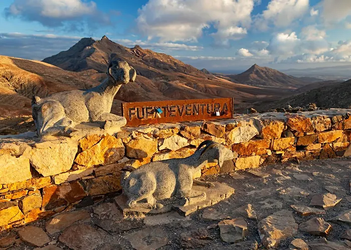 Ancla Pool On Roof Top Apartamento Corralejo