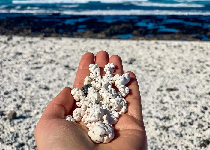 Apartamento Ancla Pool On Roof Top